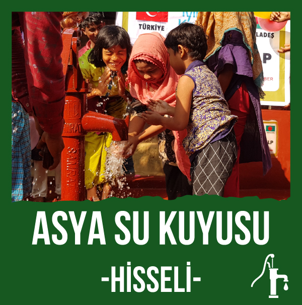 Asya Su Kuyusu - Hisseli